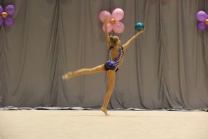 В Великих Луках завершился первый день соревнований Открытого Первенства города по художественной гимнастике (ФОТО) (0+))