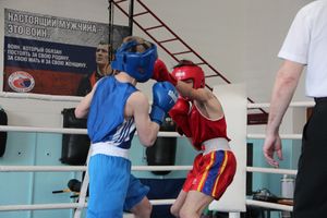 В Великих Луках завершился открытый турнир по боксу (ФОТО)