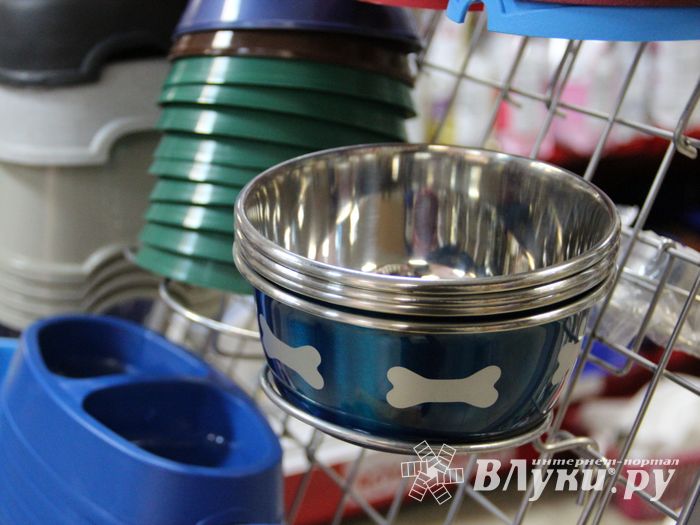 «Zooбастики»: подарите праздник своим любимцам! (ФОТО+ВИДЕО)