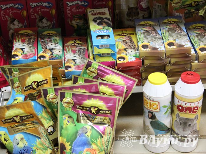 «Zooбастики»: подарите праздник своим любимцам! (ФОТО+ВИДЕО)