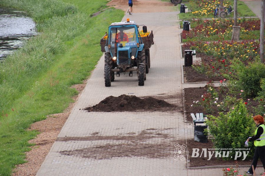 В Великих Луках сажают, стригут и красят (ФОТО)