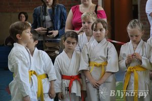 Великолучане стали победителями турнира по каратэ «Неприкосновенный запас, дети — Отчизны 2015» (фото)