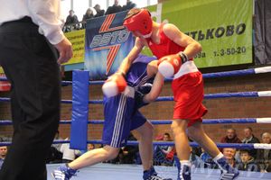 16-й Международный турнир по боксу (фото)