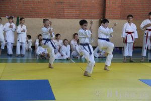 Турнир по каратэ