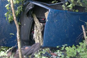 В Куньинском районе водитель улетел в кювет и погиб