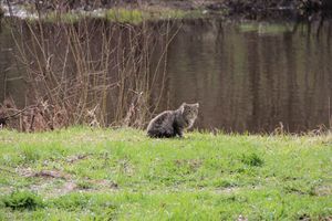 На острове Дятлинка проходит субботник