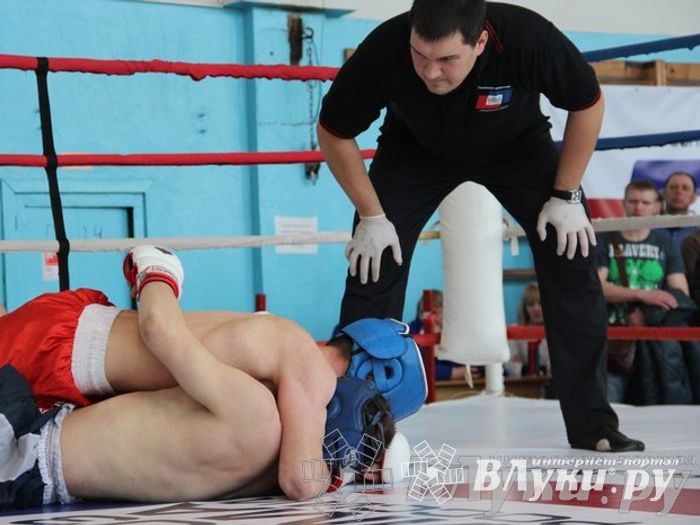Чемпионат Псковской области по ММА