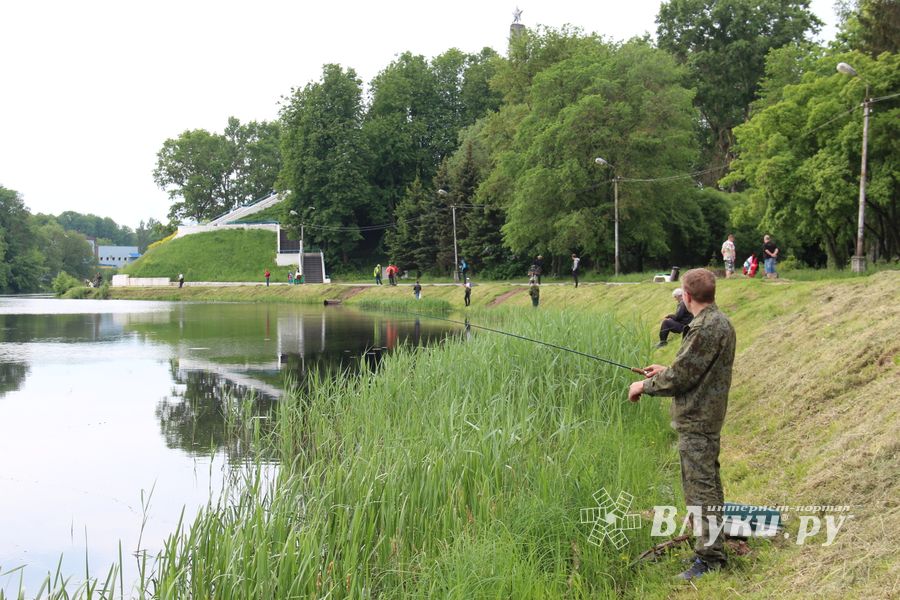 Чемпионат Великих Лук по ловле спиннингом: клевала, но мало (ФОТО)