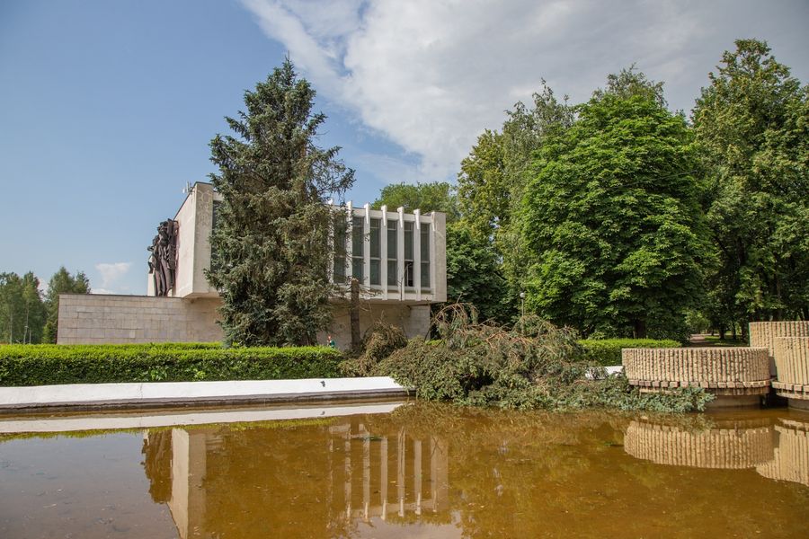 Небезразличные великолучане помогают убрать город после урагана (ФОТО)