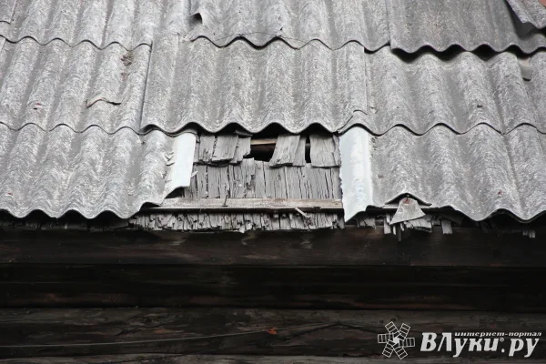 Дачников предложили штрафовать за заброшенные участки