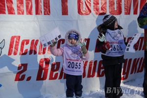 Всероссийская массовая лыжная гонка «Лыжня России 2015» состоялась в Великолукском районе (фото)