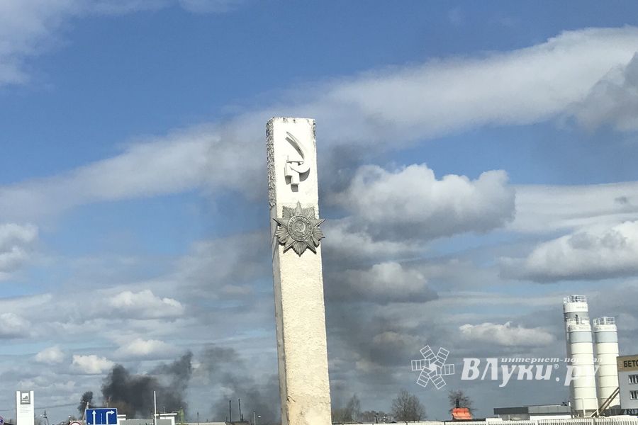 В Псковской области возобновились палы травы (ФОТО)
