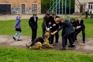 Школьники Великих Лук познакомились с работой служебных собак (ФОТО)