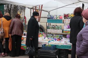 В Великих Луках прошла универсальная ярмарка «Весна-2019» (ФОТО)