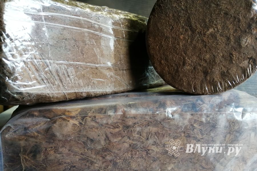 © ВЛуки.ру/Ирина Ловчая