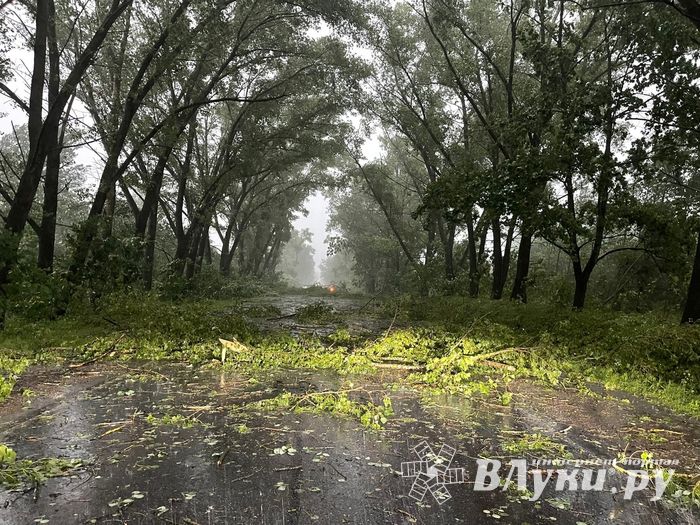 Весь ужас вчерашнего урагана в Великих Луках и районе (ФОТО, ВИДЕО)