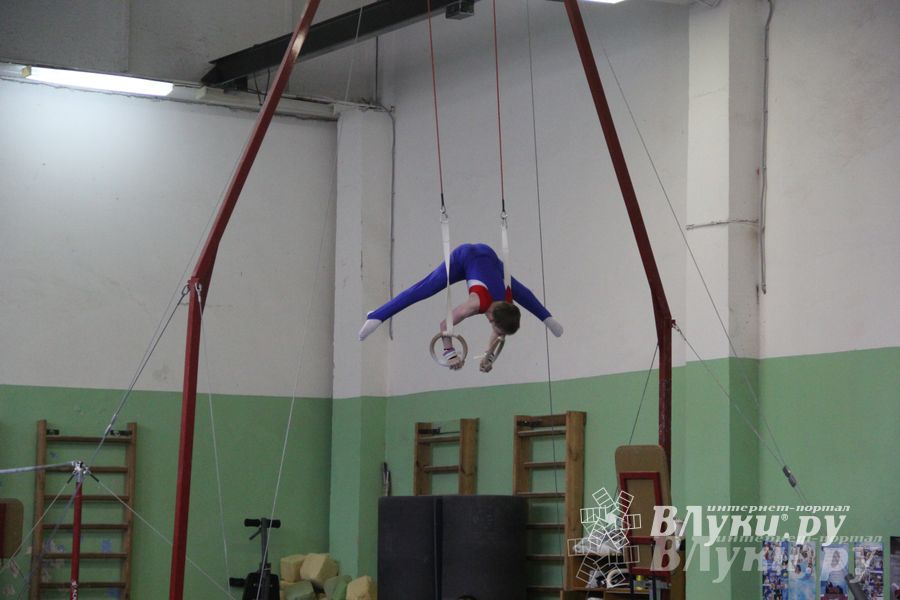 В Великих Луках прошел турнир по спортивной гимнастике (фото)