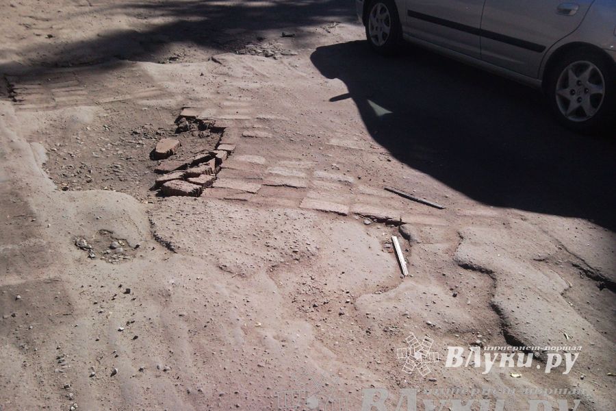 Великолучане пожаловались на сайте губернатора на ямы при выезде их города и на сломанное дерево в парке Пушкина