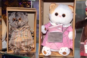 Кот Барон приготовил подарки для женщин