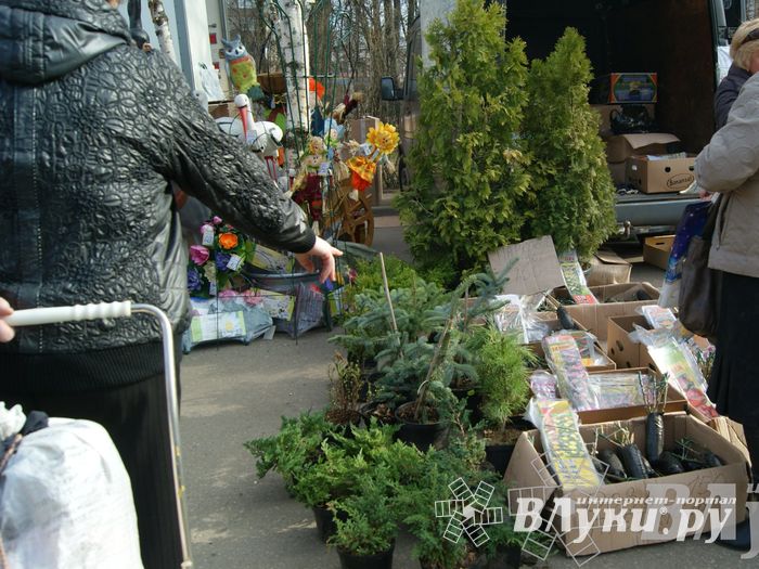 Весенняя ярмарка 2013 прошла в Великих Луках