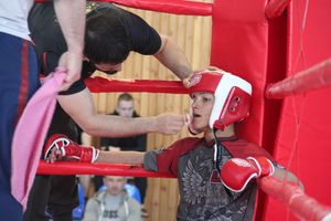 В Великих Луках завершилось Первенство России среди юношей по смешанному боевому единоборству ММА (ФОТО)