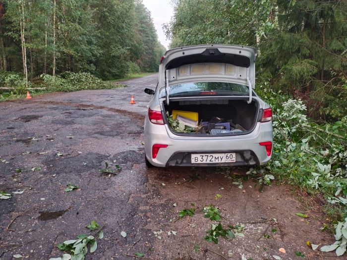 В Великолукском районе автомобиль врезался в дерево (ФОТО)