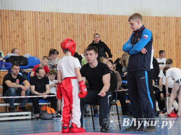 В Великих Луках проходит Кубок по кикбоксингу (ФОТО) (0+)
