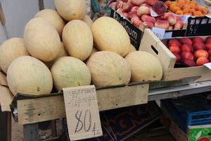 В Великих Луках проверили бахчевые (ФОТО)