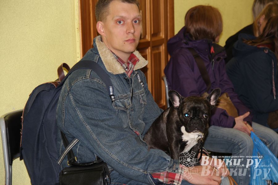 Всероссийская выставка собак в Великих Луках (фото)