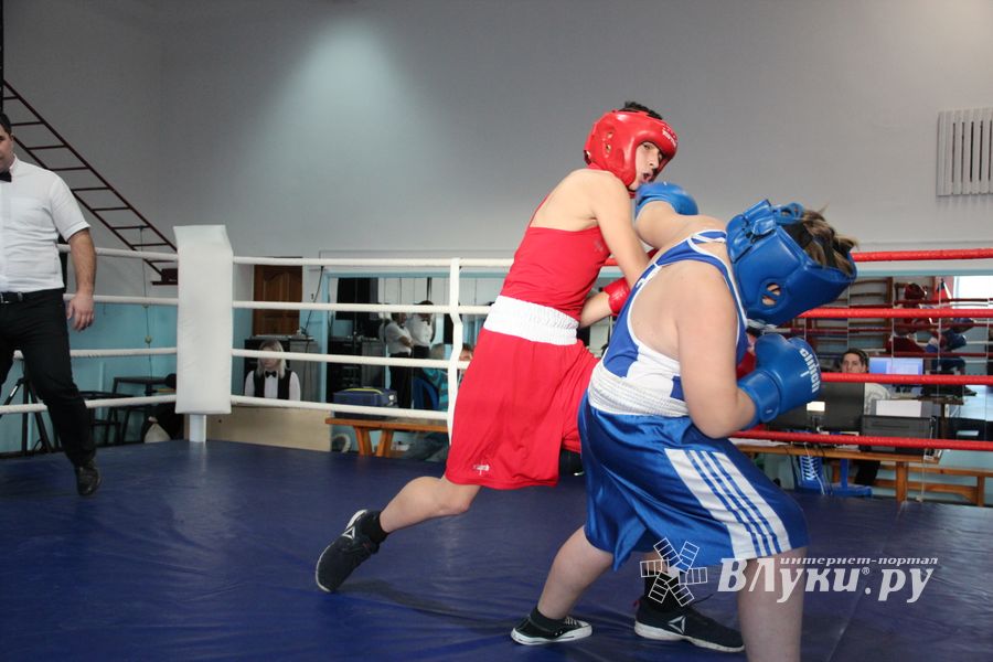 В Великих Луках завершились соревнования по боксу (ФОТО)