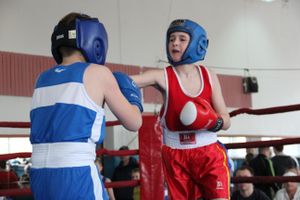 В Великих Луках прошло Первенство города по боксу (ФОТО)