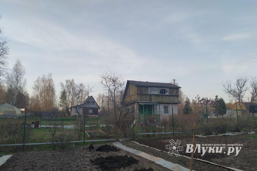© ВЛуки.ру