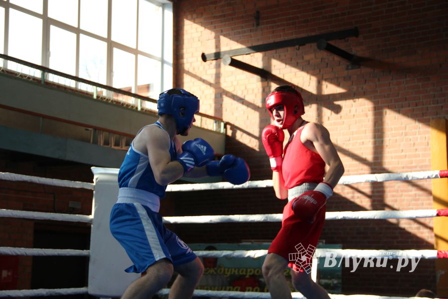 В Великих Луках прошел турнир по боксу памяти Е. Клевцова (ФОТО)