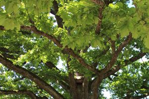 Праздник поэзии