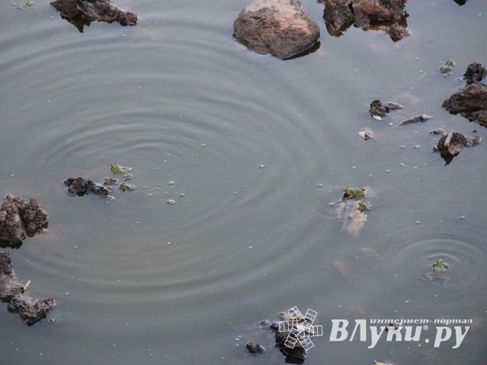 Реконструкция Великолукской крепости продолжается (ФОТО)