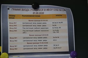 Великолукские школы готовы к атаке COVID-19