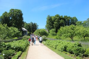 Праздник поэзии