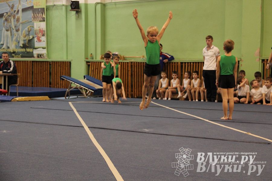 В Великих Луках состоялось Первенство по командной гимнастике (фото)