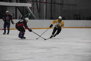 Великолукский «Экспресс» одержал победу в игре с псковскими «Медведями» (ФОТО)