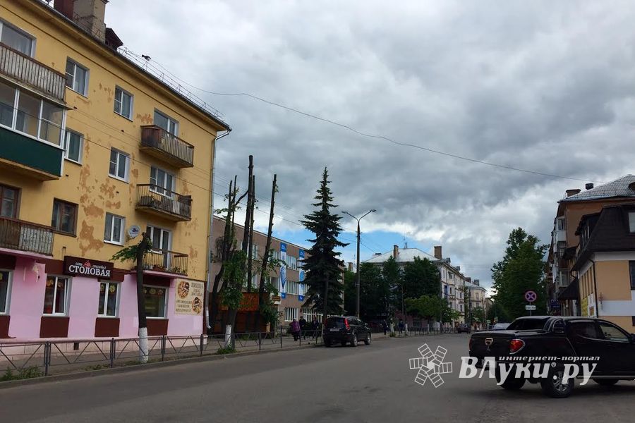 Великолукские тополя: пуха не будет (ФОТО)