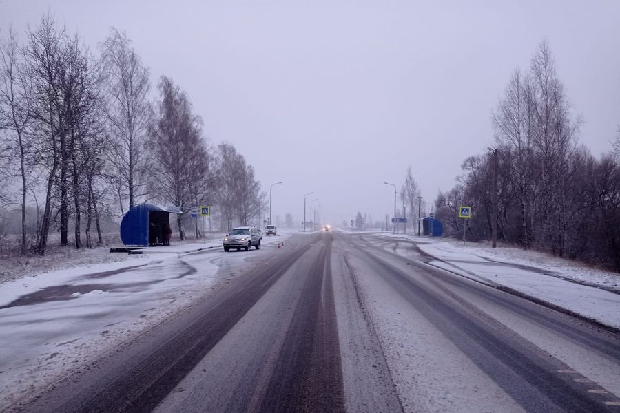 Подробности смертельного ДТП в Великолукском районе (ФОТО)