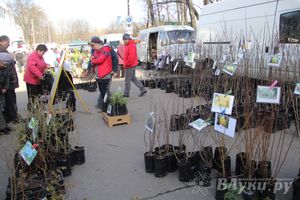 Универсальная торговая ярмарка «Весна-2015» прошла в Великих Луках (фото)