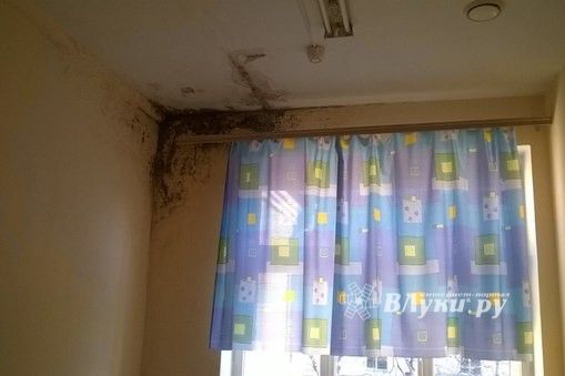 Великолучане жалуются на антисанитарию в Великолукской детской городской больнице (фото)