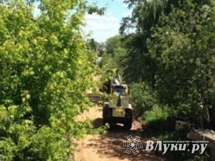 Фотофакт: была тропинка - стала дорога