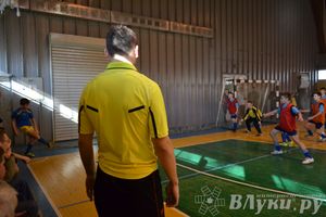 XII Традиционный Международный открытый турнир по мини-футболу среди юношей 2001-2002 г. р.