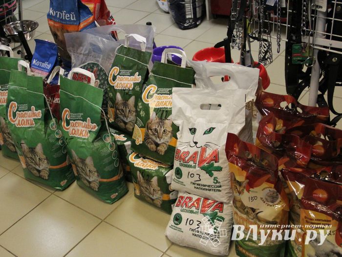 «Zooбастики»: подарите праздник своим любимцам! (ФОТО+ВИДЕО)