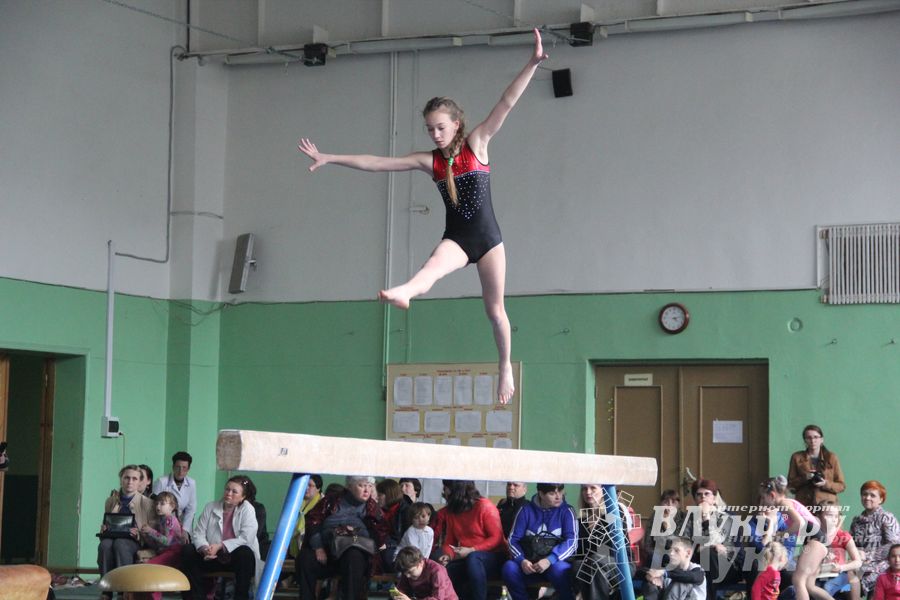 В Великих Луках прошел турнир по спортивной гимнастике (фото)