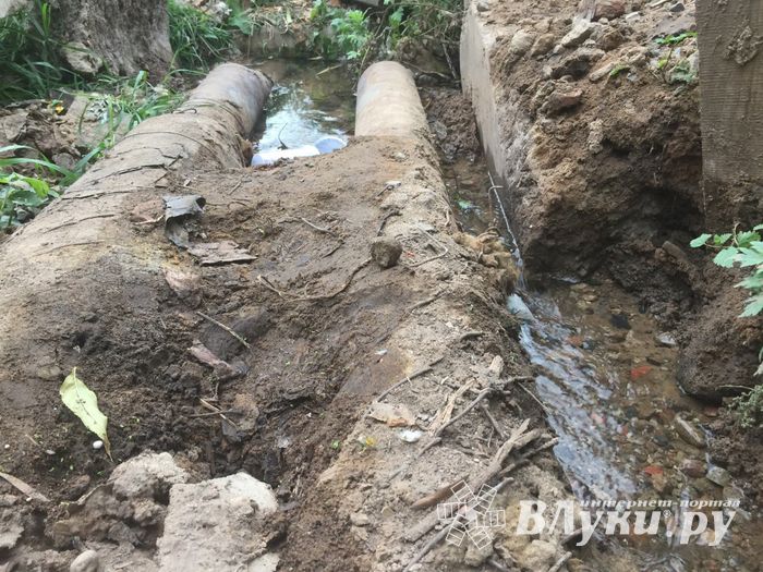 В Великих Луках забил «гейзер», по словам коммунальщиков, «рядовая ситуация» (ФОТО+ЗВУК)