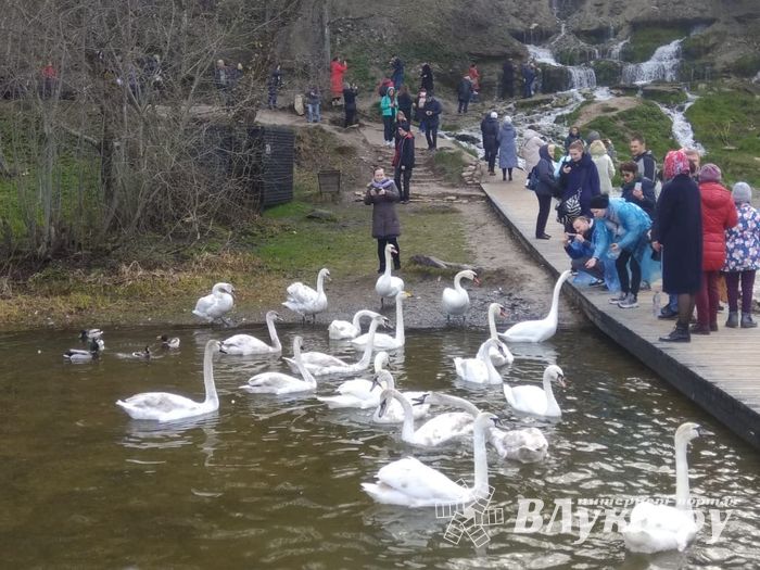 Часовню-купель в память о погибших великолукских паломниках освятили в Изборске