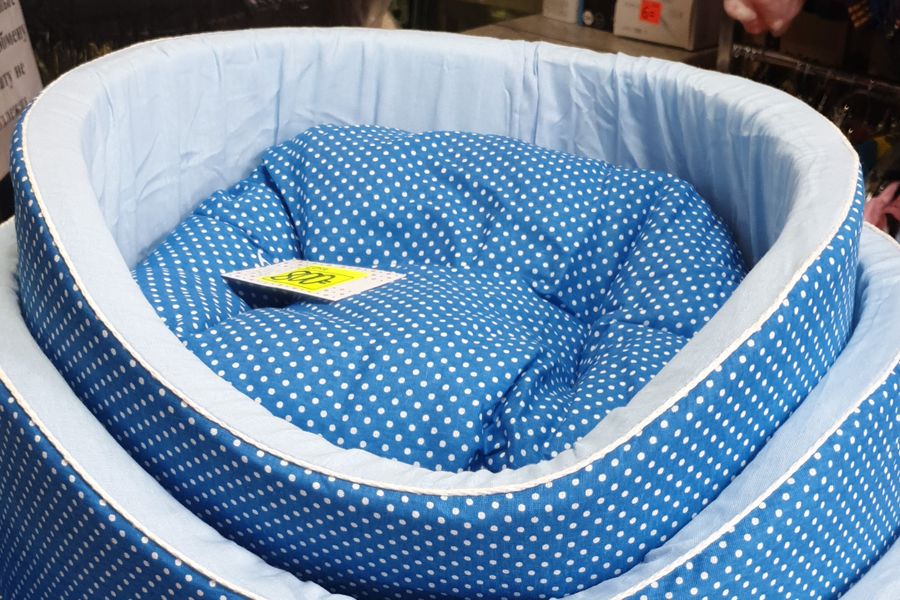 1 марта - ваш кот заслуживает подарок